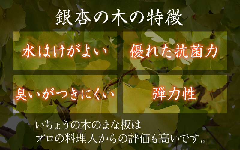 【一点物・柾目】恐竜王国福井県勝山市の風土にはぐくまれた日本製 高級国産いちょうのまな板(中)| 日用品 調理器具 キッチン まないた カッティングボード イチョウ 23×40cm 23×40センチ