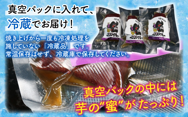 蜜たっぷりの紅はるかを使った　冷やし焼き芋 5本セット（約1kg～1.25kg） | さつまいも サツマイモ スイーツ スウィーツ デザート おやつ 冷蔵 [A-069002]