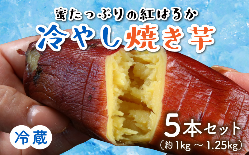 蜜たっぷりの紅はるかを使った　冷やし焼き芋 5本セット（約1kg～1.25kg） | さつまいも サツマイモ スイーツ スウィーツ デザート おやつ 冷蔵 [A-069002]