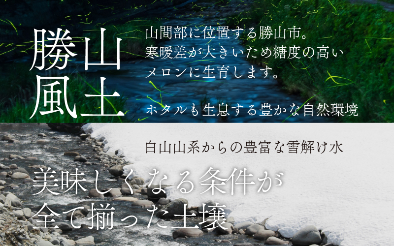 【先行予約】【2023年7月下旬～8月中旬頃発送】勝山産アールスメロン2個入り化粧箱（赤肉・青肉セット）|メロン 3kg 3キロ 2玉 フルーツ 有機肥料