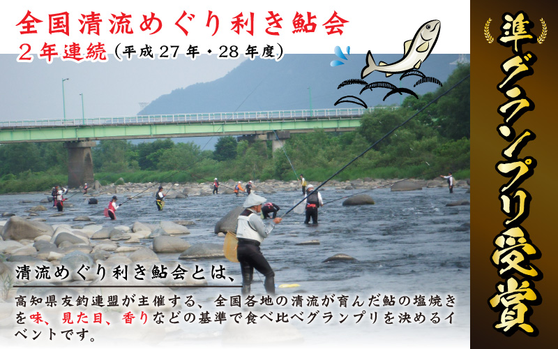 九頭竜川（勝山市漁協） 鮎友釣り年券 1名様分| 魚 魚介 鮎 アユ 釣り 体験 チケット