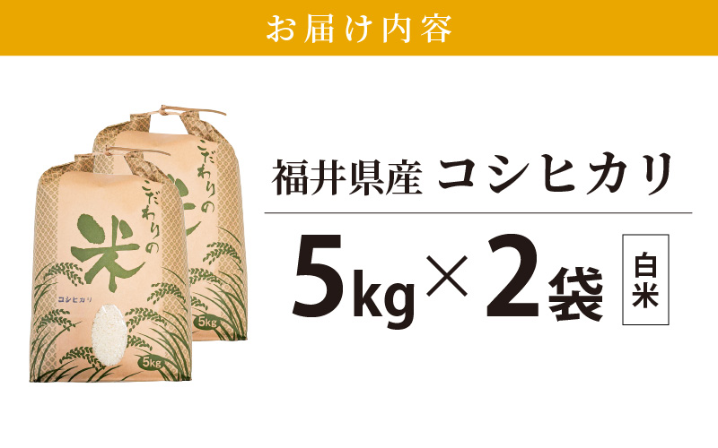 コシヒカリ 10kg 福井県産【白米】【お米 こしひかり 10キロ 人気品種】 [e30-a081]