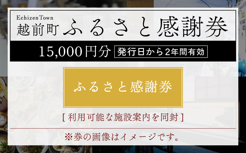 越前町ふるさと感謝券（15,000円分）【宿泊 レジャー アウトドア BBQ 体験型 宿泊券 福井県】 [e05-e001]