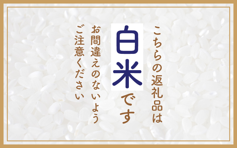 ハナエチゼン 10kg 福井県産【白米】【お米 はなえちぜん 華越前 10キロ】 [e30-a069]