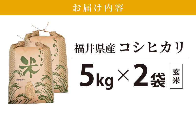 コシヒカリ 10kg 福井県産【玄米】【お米 こしひかり 10キロ 人気品種】 [e30-a080]