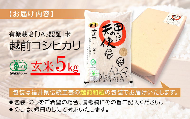 有機JAS 米 越前コシヒカリ 5kg 令和6年産 新米 福井県産【玄米】【有機栽培 JAS認証 人気品種 こしひかり 5キロ】 [e10-b003]