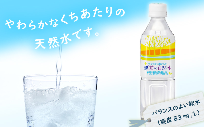 お水 越前の自然水 ペットボトル 500ml × 24本入り 1ケース【福井県 飲料 水 備蓄 ナチュラルミネラルウォーター】 [e20-a013]