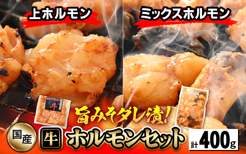 国産 牛ホルモン セット 計400g（上ホルモン・ミックスホルモン 各1袋） 旨みそダレ漬け！ 【 冷凍 お手軽 小分け BBQ バーベキュー 】 [e03-a027]	