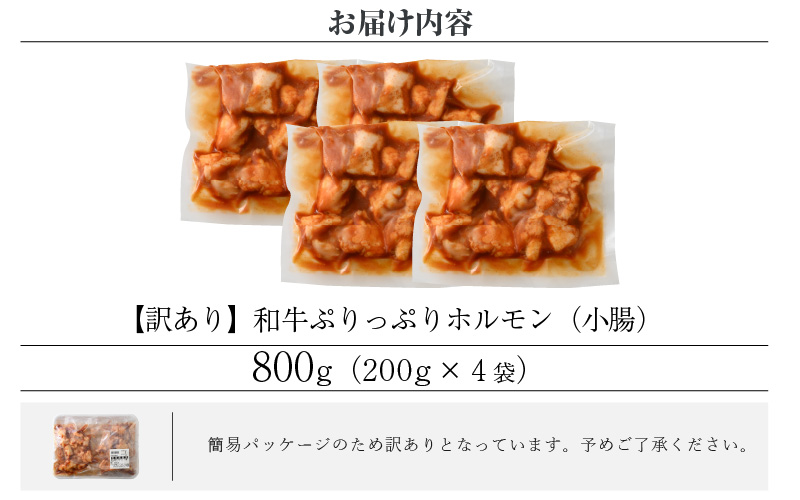 【訳あり】国産 黒毛和牛 ぷりっぷり ホルモン 800g（200g × 4袋）特製タレ味付き 小分け【 小腸 】 [e02-a016]