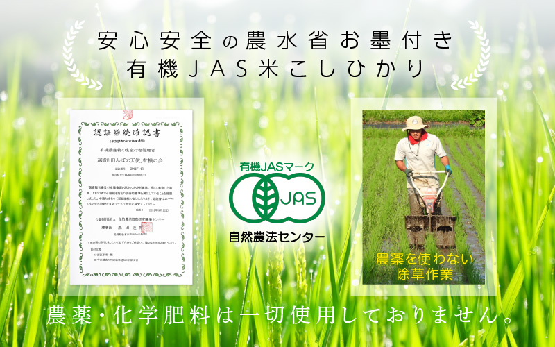 有機JAS 米 越前コシヒカリ 2kg 令和6年産 新米 福井県産【玄米】【有機栽培 JAS認証 人気品種 こしひかり 2キロ】 [e10-a016]