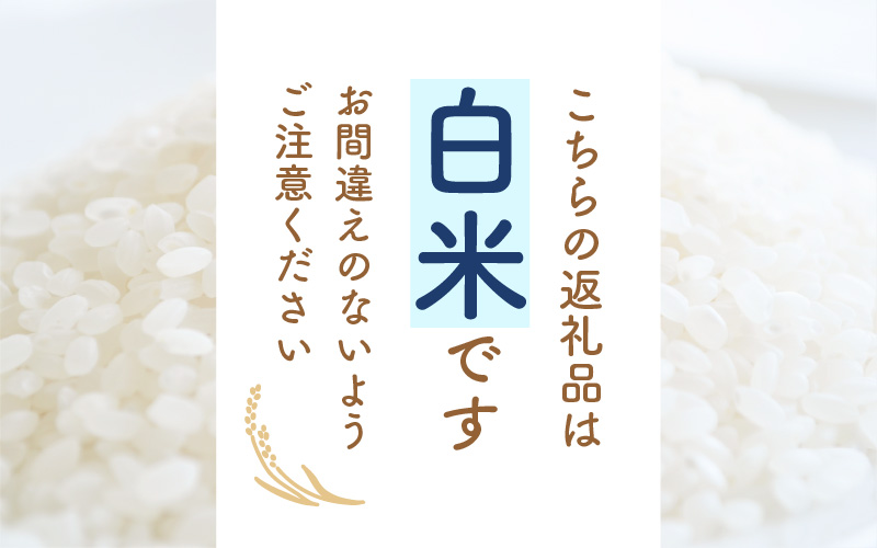 コシヒカリ 10kg 福井県産【白米】【お米 こしひかり 10キロ 人気品種】 [e30-a081]