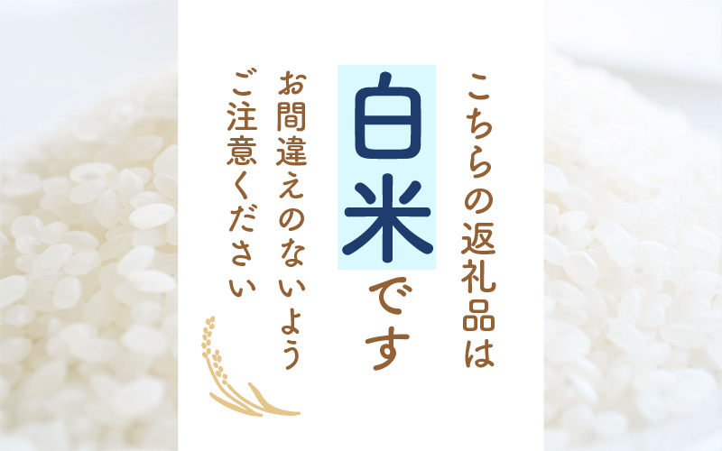 あきさかり 5kg 福井県産 コシヒカリ系統品種【白米】【お米 アキサカリ 5キロ】 [e30-a073]