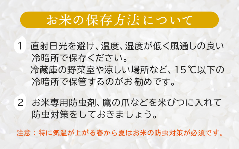 あきさかり 10kg 福井県産 コシヒカリ系統品種【玄米】【お米 アキサカリ 10キロ】 [e30-a074]