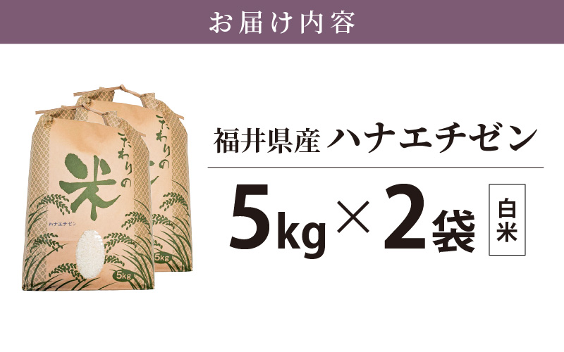 ハナエチゼン 10kg 福井県産【白米】【お米 はなえちぜん 華越前 10キロ】 [e30-a069]