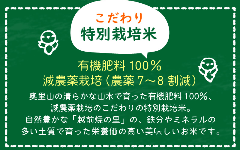 令和6年産 米 特別栽培米 コシヒカリ 10kg 福井県産【こしひかり 10キロ 精米 人気品種 有機肥料100% 減農薬栽培】 [e10-b002]