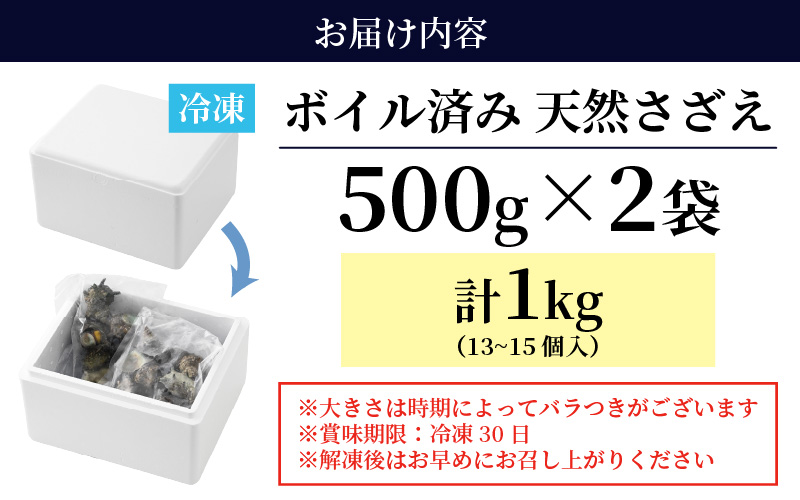 【先行予約】 天然 さざえ ボイル済 13～15個入 1kg（500g × 2袋）産地直送でお届け！【2025年6月10日～9月30日の期間に順次発送】 【越前町産 栄螺 サザエ 冷凍 小分け 海鮮 BBQ バーベキュー】 [e14-a010] 