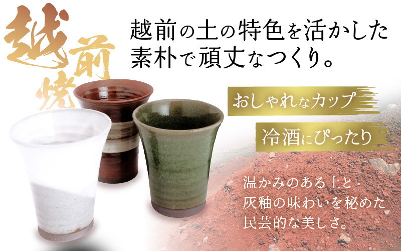 銘酒「飛鳥井」純米大吟醸 720ml ＆ 越前焼（冷酒カップ3個）セット【地酒 陶器 詰め合わせ】 [e34-b004]