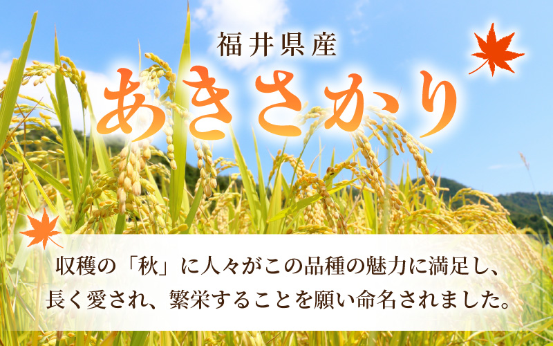 あきさかり 10kg 福井県産 コシヒカリ系統品種【玄米】【お米 アキサカリ 10キロ】 [e30-a074]