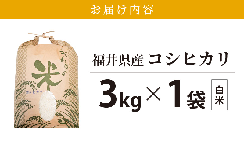 コシヒカリ 3kg 福井県産【白米】【お米 こしひかり 3キロ 人気品種】 [e30-a077]