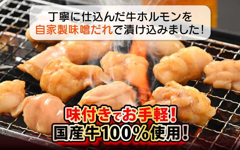 国産 牛ホルモン セット 計400g（上ホルモン・ミックスホルモン 各1袋） 旨みそダレ漬け！ 【 冷凍 お手軽 小分け BBQ バーベキュー 】 [e03-a027]	