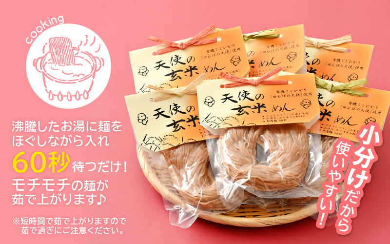 グルテンフリー 天使の玄米めん 6食入り（便利な小分け 100g × 6袋）【即席麺 動物性食品不使用 ビーガン 玄米 福井県】 [e10-a011]