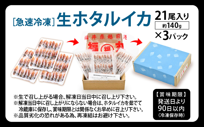 急速冷凍 生 ホタルイカ 21尾入 × 3パック 合計約420g（刺身・しゃぶしゃぶ用） 上品な甘みを存分にお楽しみください！ [e15-a014]