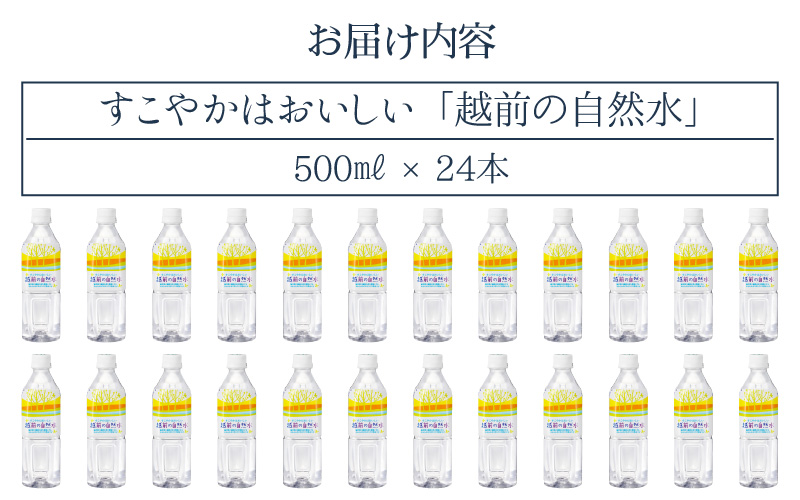 お水 越前の自然水 ペットボトル 500ml × 24本入り 1ケース【福井県 飲料 水 備蓄 ナチュラルミネラルウォーター】 [e20-a013]