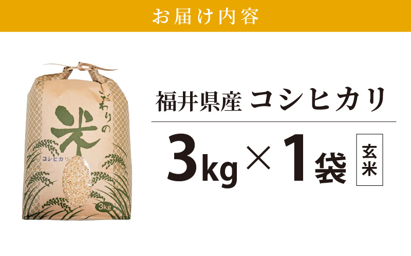 コシヒカリ 3kg 福井県産【玄米】【お米 こしひかり 3キロ 人気品種】 [e30-a076]