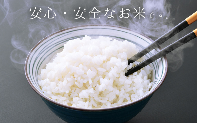 令和6年産 米 特別栽培米 コシヒカリ 10kg 福井県産【こしひかり 10キロ 精米 人気品種 有機肥料100% 減農薬栽培】 [e10-b002]