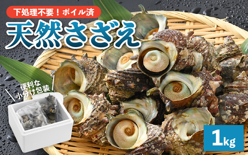 【先行予約】 天然 さざえ ボイル済 13～15個入 1kg（500g × 2袋）産地直送でお届け！【2025年6月10日～9月30日の期間に順次発送】 【越前町産 栄螺 サザエ 冷凍 小分け 海鮮 BBQ バーベキュー】 [e14-a010] 