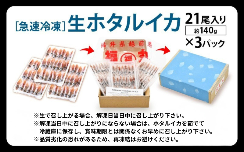 急速冷凍 生 ホタルイカ 21尾入 × 3パック 合計約420g（刺身・しゃぶしゃぶ用） 上品な甘みを存分にお楽しみください！ [e15-a014]