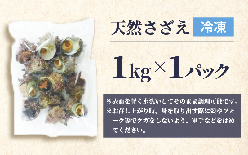 天然 さざえ ≪1kg≫ 加熱用 高鮮度 急速冷凍【海鮮 BBQ バーベキュー 栄螺 サザエ】 [e04-a056]