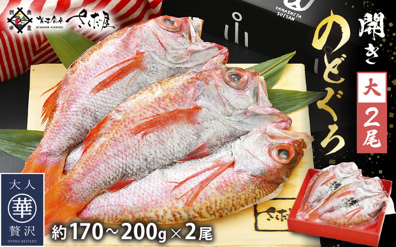 のどぐろ 開き 大サイズ × 2尾（170～200g ／ 尾）【干物 ひもの ノドグロ アカムツ 冷凍 無添加 化粧箱入】 [e04-b030]