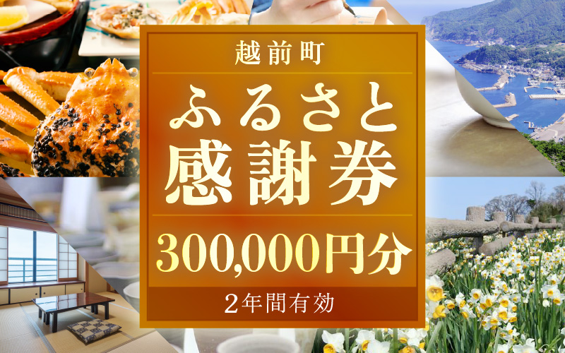 越前町ふるさと感謝券（300,000円分）【宿泊 レジャー アウトドア BBQ 体験型 宿泊券 福井県】 [e05-w001]