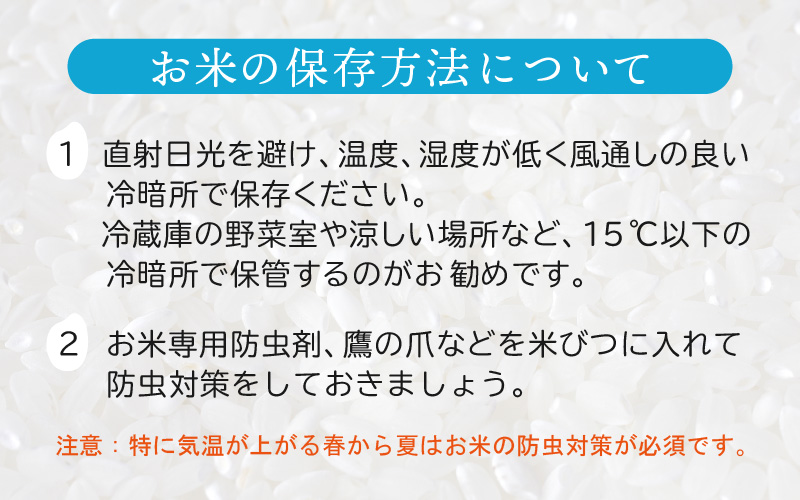 ハナエチゼン 10kg 福井県産【白米】【お米 はなえちぜん 華越前 10キロ】 [e30-a069]