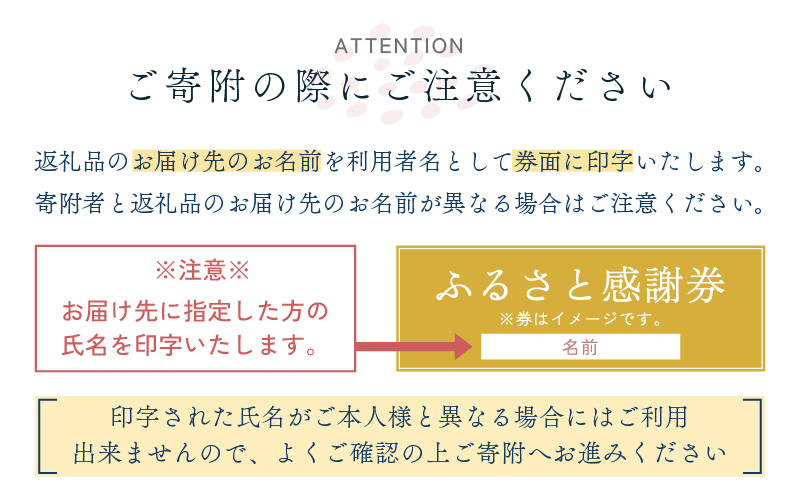 越前町ふるさと感謝券（5,000円分）【宿泊 レジャー アウトドア BBQ 体験型 宿泊券 福井県】 [e05-a001]