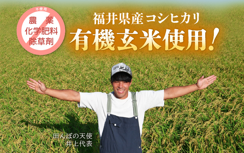 グルテンフリー 天使の玄米めん 6食入り（便利な小分け 100g × 6袋）【即席麺 動物性食品不使用 ビーガン 玄米 福井県】 [e10-a011]