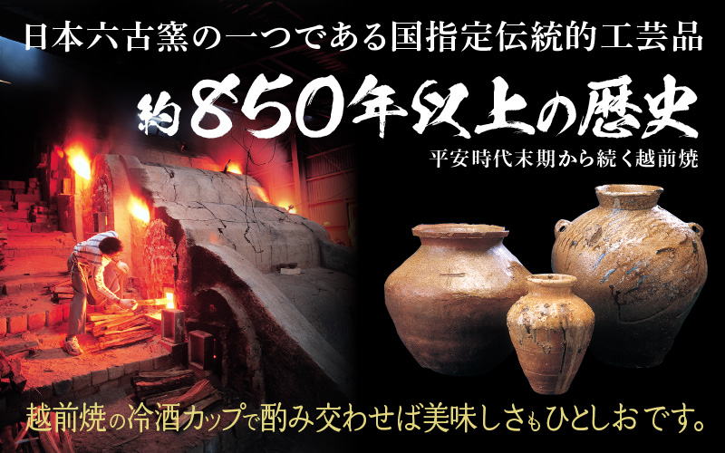 銘酒「飛鳥井」純米大吟醸 720ml ＆ 越前焼（冷酒カップ3個）セット【地酒 陶器 詰め合わせ】 [e34-b004]