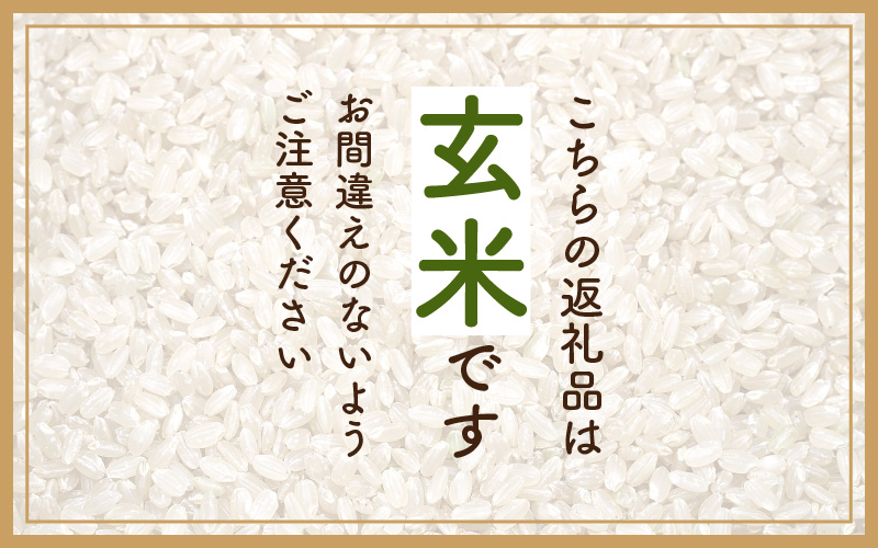 ハナエチゼン 3kg 福井県産【玄米】【お米 はなえちぜん 華越前 3キロ】 [e30-a064]