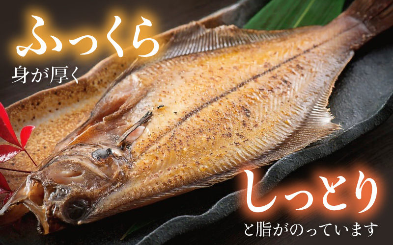 干物 赤がれい一塩干し 大サイズ（1尾 × 9パック入り）【カレイ かれい ひもの 小分け 無添加 冷凍】 [e04-a037]