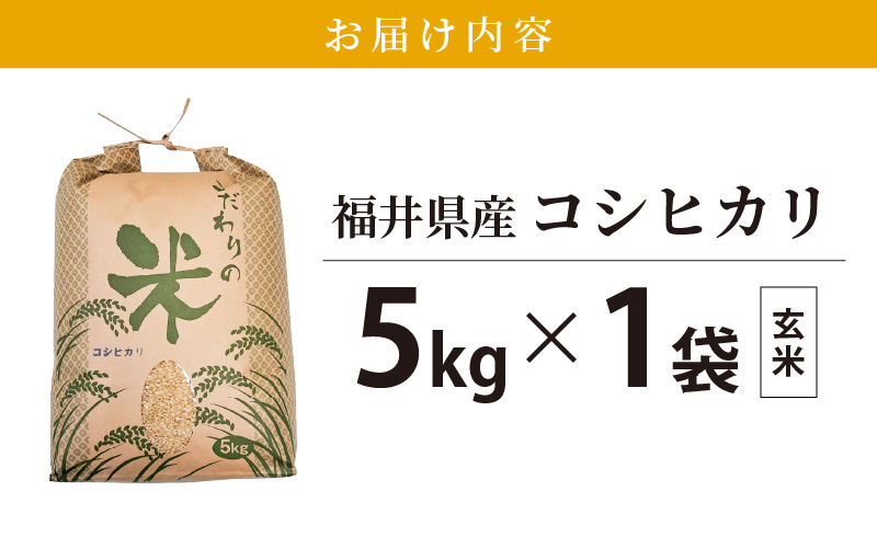 コシヒカリ 5kg 福井県産【玄米】【お米 こしひかり 5キロ 人気品種】 [e30-a078]