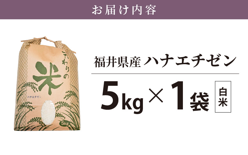 ハナエチゼン 5kg 福井県産【白米】【お米 はなえちぜん 華越前 5キロ】 [e30-a067]