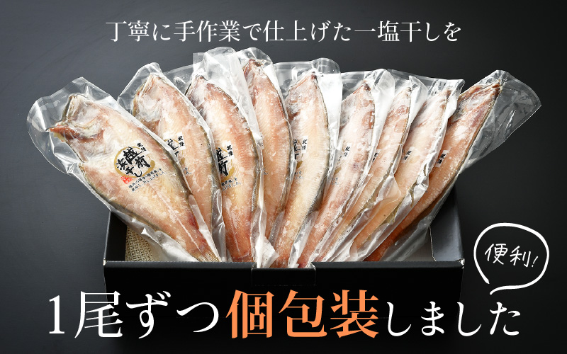 干物 赤がれい一塩干し 大サイズ（1尾 × 9パック入り）【カレイ かれい ひもの 小分け 無添加 冷凍】 [e04-a037]