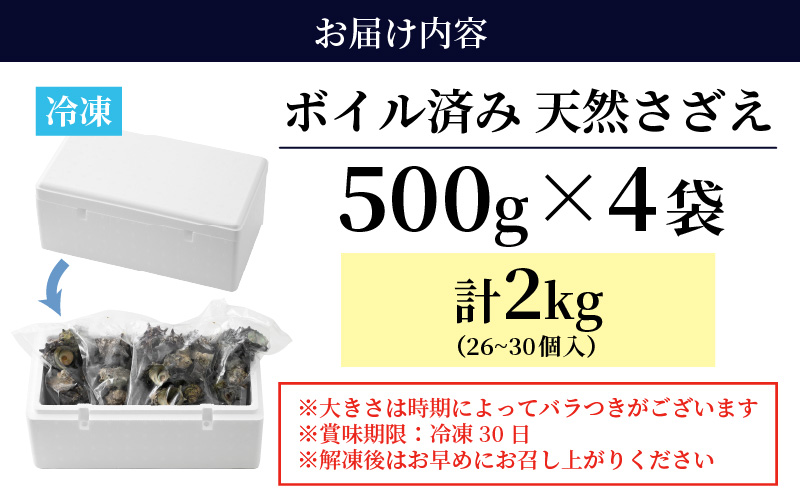 【先行予約】 天然 さざえ ボイル済 26～30個入 2kg（500g × 4袋）産地直送でお届け！ 【2025年6月10日～9月30日の期間に順次発送】 【越前町産 栄螺 サザエ 冷凍 小分け 海鮮 BBQ バーベキュー】 [e14-a011] 