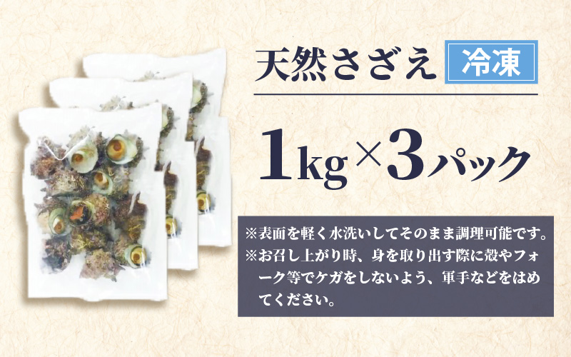 天然 さざえ ≪3kg≫ 加熱用 高鮮度 急速冷凍【海鮮 BBQ バーベキュー 栄螺 サザエ】 [e04-b022]