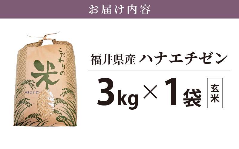 ハナエチゼン 3kg 福井県産【玄米】【お米 はなえちぜん 華越前 3キロ】 [e30-a064]