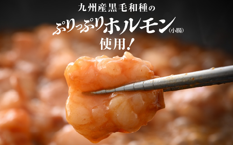 【訳あり】国産 黒毛和牛 ぷりっぷり ホルモン 800g（200g × 4袋）特製タレ味付き 小分け【 小腸 】 [e02-a016]