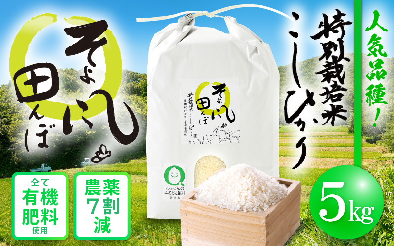 令和6年産 米 特別栽培米 コシヒカリ 5kg 福井県産【こしひかり 5キロ 精米 人気品種 有機肥料100% 減農薬栽培】 [e10-a014]