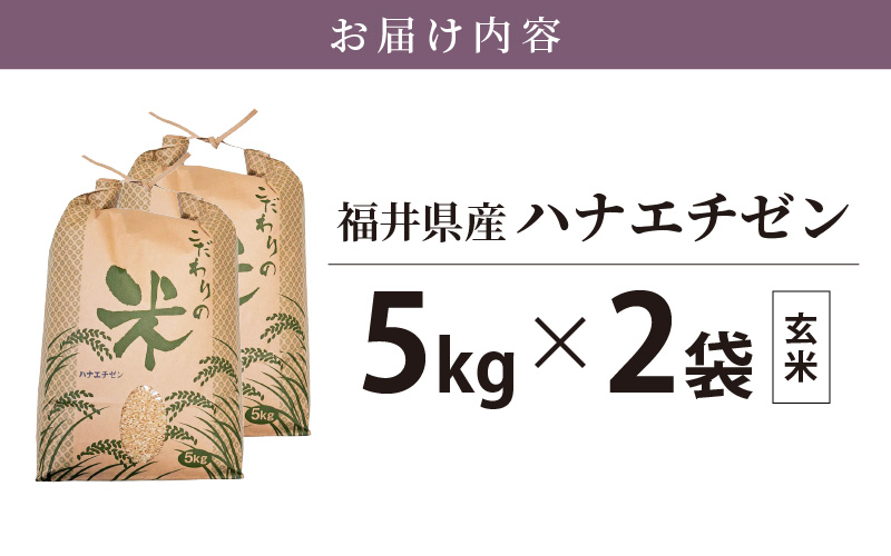 ハナエチゼン 10kg 福井県産【玄米】【お米 はなえちぜん 華越前 10キロ】 [e30-a068]