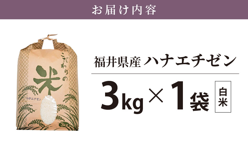 ハナエチゼン 3kg 福井県産【白米】【お米 はなえちぜん 華越前 3キロ】 [e30-a065]